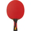 Ракетка для н/т DOUBLE FISH 7A+C, для професс.,ITTF Appr.,накл.2,1мм,+ 2 мяча V40+мм ITTF Appr за 3&nbsp;559.80 ₽ купить в Рязани
