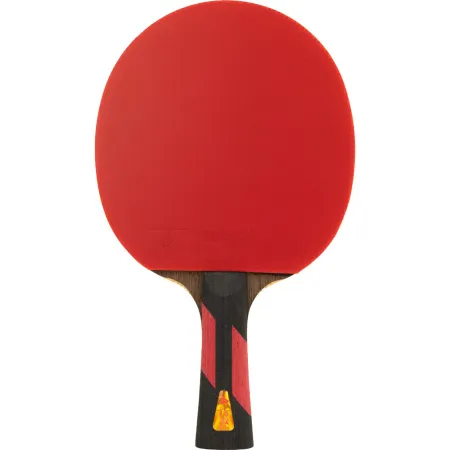 Ракетка для н/т DOUBLE FISH 7A+C, для професс.,ITTF Appr.,накл.2,1мм,+ 2 мяча V40+мм ITTF Appr за 3&nbsp;559.80 ₽ купить в Рязани
