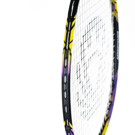 Ракетка бадм. TORRES Carbon PRO6, BD20521,для продв., стерж/обод из карбона,со струнами, фиол за 4&nbsp;477.80 ₽ купить в Рязани