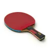 Ракетка для н/т DOUBLE FISH 7A+C, для професс.,ITTF Appr.,накл.2,1мм,+ 2 мяча V40+мм ITTF Appr за 3&nbsp;559.80 ₽ купить в Рязани