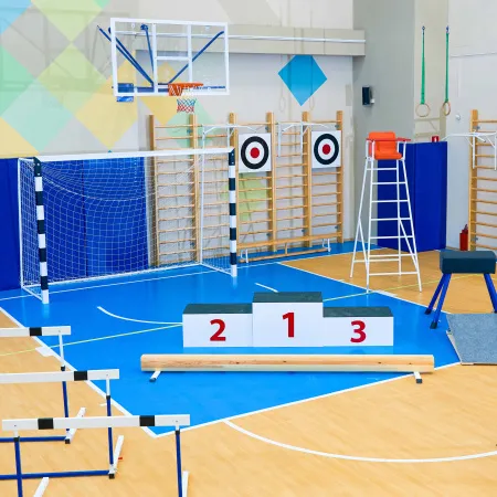 Щит для метания навесной на шведскую стенку (фанера) 700х700 ZAVODSPORTA за 8&nbsp;960 ₽ купить в Рязани