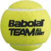 Мяч теннисный BABOLAT Team All Court,502081, уп.4 шт,одобр.ITF, сукно, нат.резина,желтый за 2&nbsp;385.10 ₽ купить в Рязани