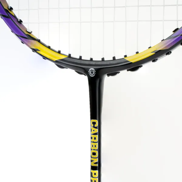Ракетка бадм. TORRES Carbon PRO6, BD20521,для продв., стерж/обод из карбона,со струнами, фиол за 4&nbsp;477.80 ₽ в Рязани