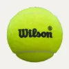 Мяч для падела Wilson Premier Padel Speed, WR8908501001, уп.3 шт, FIP Appr.,сукно, нат.резина,желтый за 1&nbsp;235.90 ₽ купить в Рязани