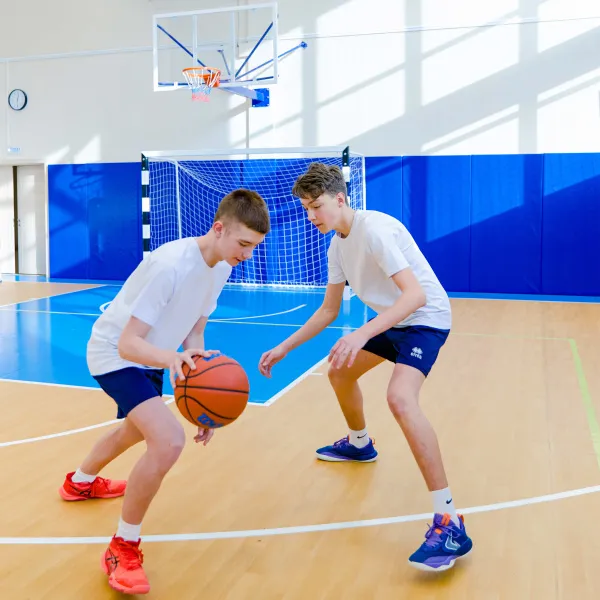 Щит баскетбольный игровой (монолитный поликарбонат) 1050х1800 мм ZAVODSPORTA за 47&nbsp;600 ₽ в Рязани